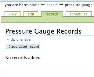 Asset_records_tab