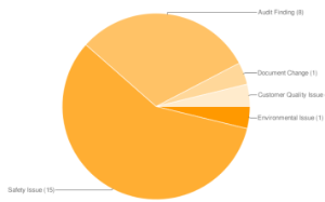 IssueReport